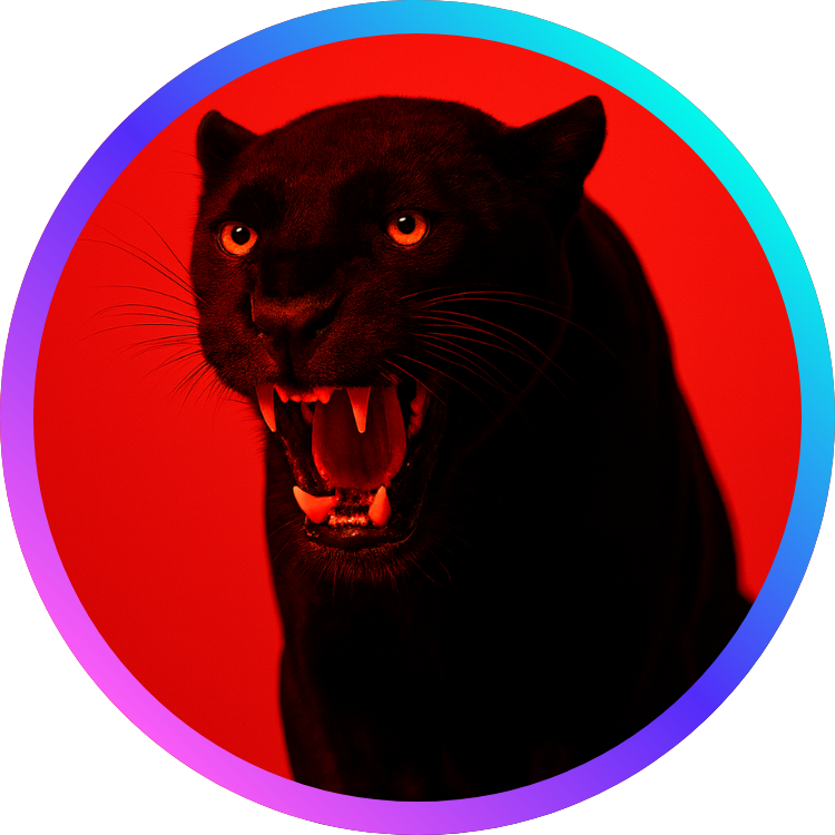 Ontwerp zonder titel